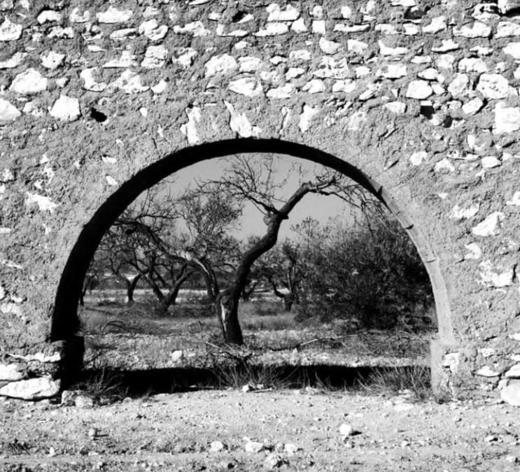 Cortijo Los Garridos - 7 Huespedes Алмерия Екстериор снимка